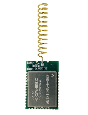 Sub-G-Module Ja Langstrecken-Sub-GHz-Module mit Anpassungsunterstützung