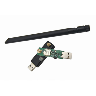 LoRa drahtloser USB-Dongle 4,3 km Übertragungsstrecke LoRa-Dongle LRDG32-915 kann in Verbindung mit der DTU verwendet werden